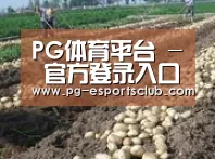 种植基地七(图1)