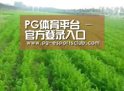 种植基地四