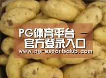 产品展示标题6