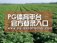 种植基地五(图1)