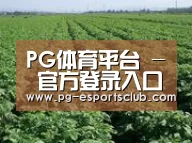 种植基地五