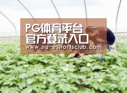种植基地三