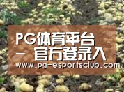 种植基地七