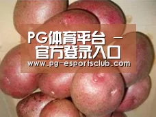 产品展示标题1