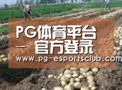 种植基地八