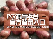 产品展示标题5(图1)