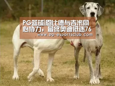 PG篮球|恩比德与吉米同心协力,最终奥迪低迷76人惨败步行者(图1) PG体育